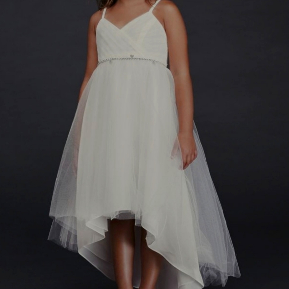 David's Bridal Flower Girl Dress